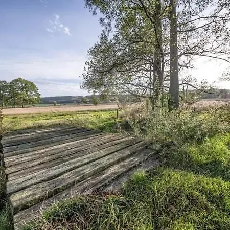Ferme Kalys 8 P Forest Viewpoint Bbq Vielsalm